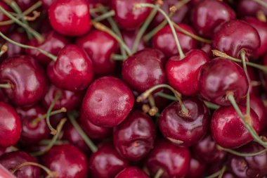 Güzel, sulu, tatlı vişne arkaplanı. Olgun kiraz yığınını kapat. Minsk, Belarus.
