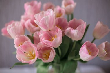 Bir buket bahar çiçeği cam vazoda güzel çiçekler. Beyaz arkaplanda taze pembe laleler.