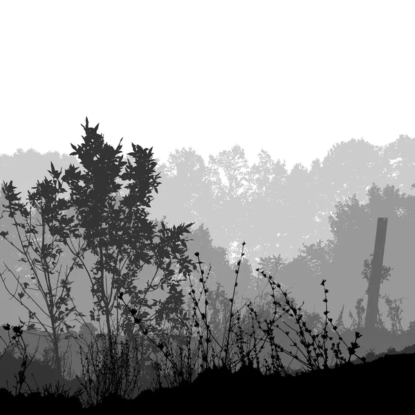 Forêt mystérieuse en noir et blanc — Image vectorielle