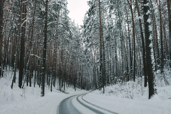 Winter road and forest — Stock Photo, Image