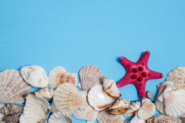 eski mavi ahşap kurullarında kabukları.