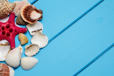 Yaz arka plan, mavi ahşap zemin üzerine kabukları