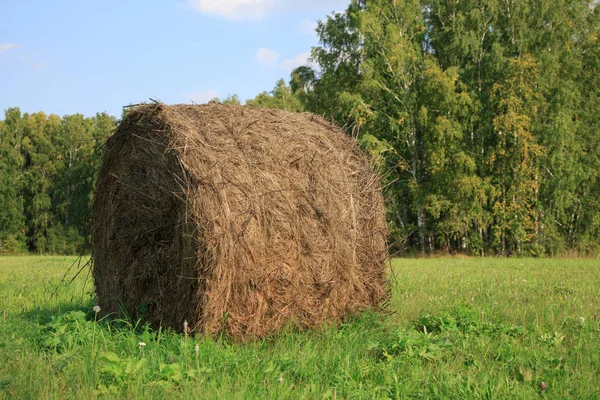 View of farm field showing bales of hay — Stock Photo, Image