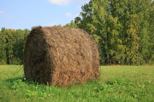 View of farm field showing bales of hay