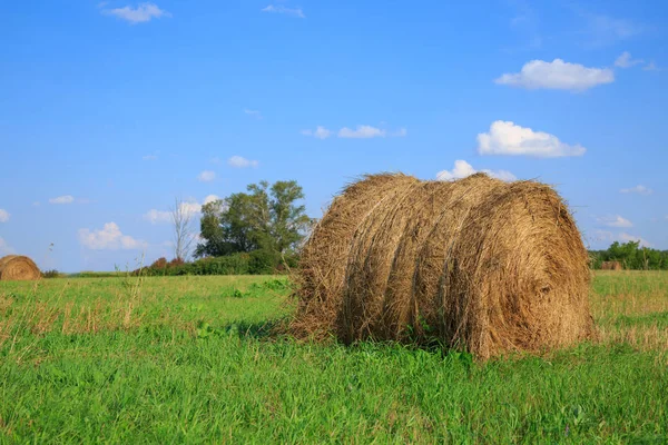 Hay-roll on meadow against — Stock Photo, Image