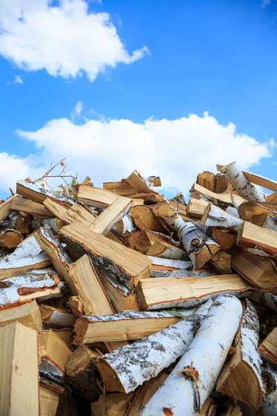 Sekané Bříza dřevo na topení v zimě — Stock fotografie