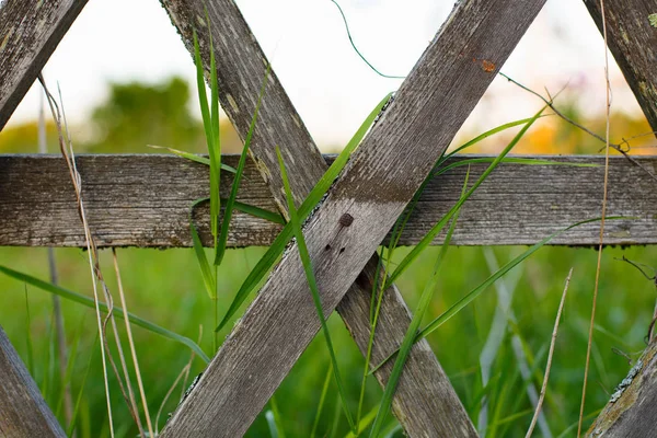 Výhled Krásný Starý Dřevěný Plot Poli — Stock fotografie