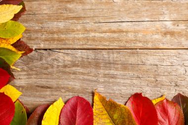 sonbahar yaprakları üzerinde ahşap dokulu arka plan görüntü