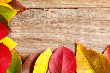 sonbahar yaprakları üzerinde ahşap dokulu arka plan görüntü