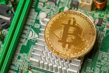 Bilgisayar devre kartında Altın Bitcoin Kripto para birimi. Makro çekim