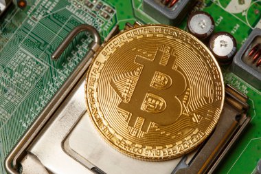 Bilgisayar devre kartında Altın Bitcoin Kripto para birimi. Makro çekim