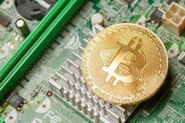 Bilgisayar devre kartında Altın Bitcoin Kripto para birimi. Makro çekim
