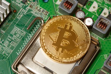 Bilgisayar devre kartında Altın Bitcoin Kripto para birimi. Makro çekim
