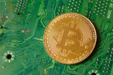 Bilgisayar devre kartında Altın Bitcoin Kripto para birimi. Makro çekim