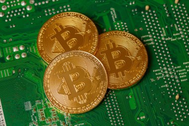 Bilgisayar devre kartında Altın Bitcoin Kripto para birimi. Makro çekim