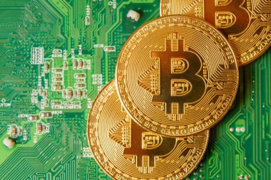 Bilgisayar devre kartında Altın Bitcoin Kripto para birimi. Makro çekim