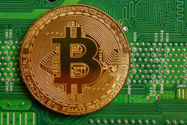 Bilgisayar devre kartında Altın Bitcoin Kripto para birimi. Makro çekim