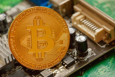 Bilgisayar devre kartında Altın Bitcoin Kripto para birimi. Makro çekim