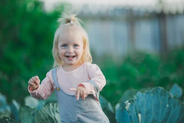 Boldog gyermek nevetés a káposzta kertben Nyáron — Stock Fotó