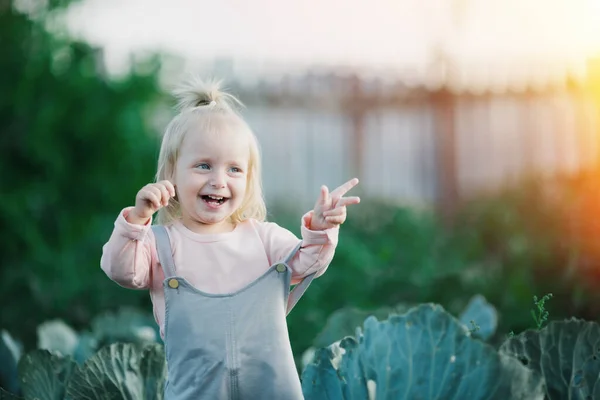 Aranyos szőke gyerek nevetés káposzta Zöldségkert — Stock Fotó