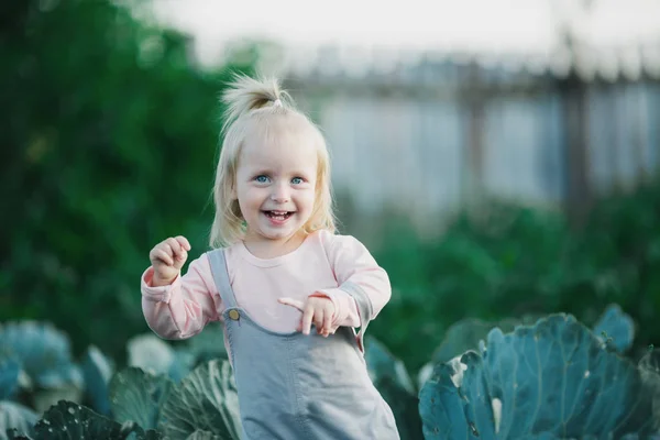 快乐的孩子在卷心菜园夏日欢笑 — 图库照片