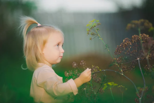 Felice bambina ridere pianta sfondo all'aperto — Foto Stock