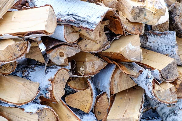 Příprava palivového dříví na zimu. zázemí z palivového dřeva, Hromádky dříví v lese. Hromada dřeva na podpal. — Stock fotografie