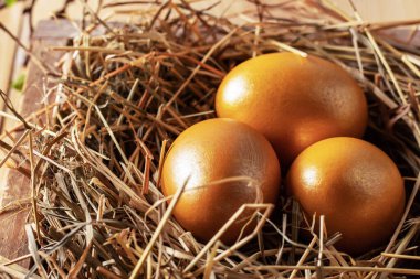 Paskalya kompozisyonu. Sevimli boyalı tavuklu paskalya yumurtaları ahşap masadaki samanlıkta bir kutunun içinde yatıyor. Tebrik kartı kavramı. 