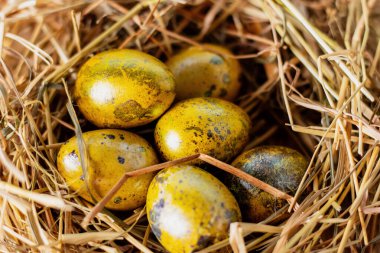 Paskalya kompozisyonu. Sevimli boyalı paskalya yumurtaları ahşap masadaki samanlıkta bir kutunun içinde yatıyor. Tebrik kartı kavramı. 
