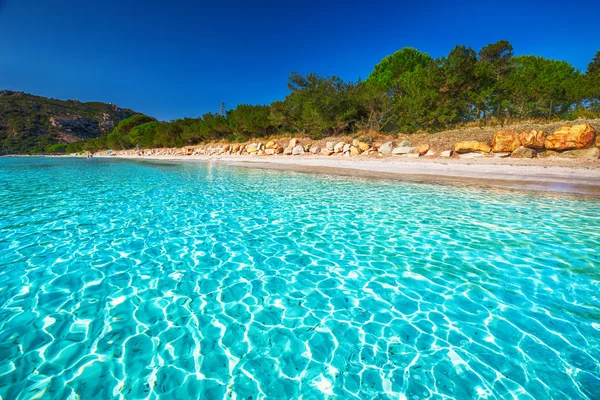 Plaża Santa Giulia z błękitną wodą, Korsyka, Francja — Zdjęcie stockowe