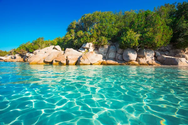 Masmavi berrak su ile Santa Giulia plaj, Korsika, Fransa