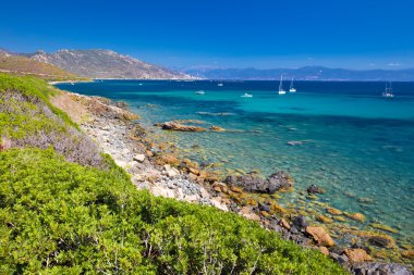 Kayalık plaj ile çarpıcı Korsika kıyı şeridi 