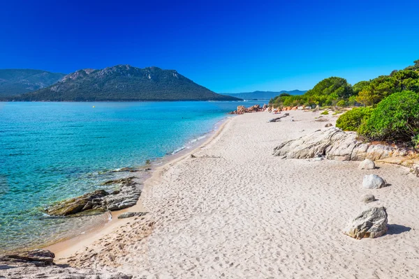 Playa de arena San Ciprianu en Córcega, Francia, Europa . — Foto de Stock