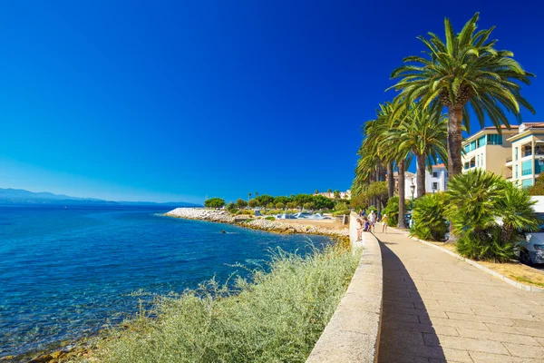 Ajaccio centro de la ciudad con palmeras y casas antiguas típicas — Foto de Stock