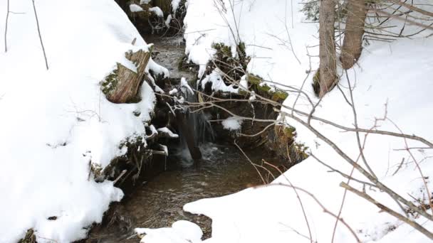 Stromende rivier in winter forest — Stockvideo