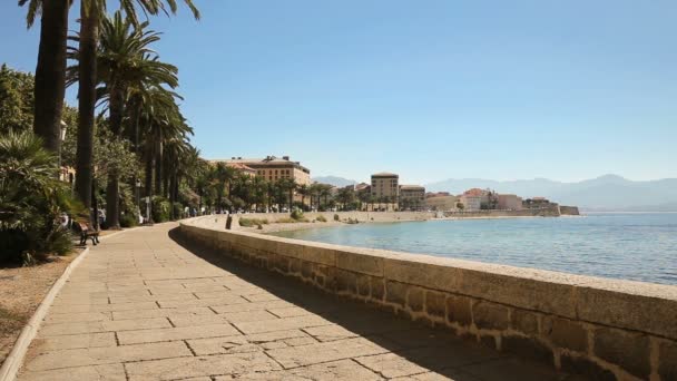 Palombaggia and azure water — Αρχείο Βίντεο