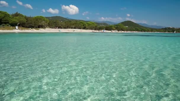 Strand und azurblaues Wasser — Stockvideo