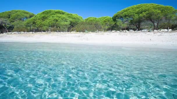 Playa de Palombaggia y agua azul — Vídeos de Stock