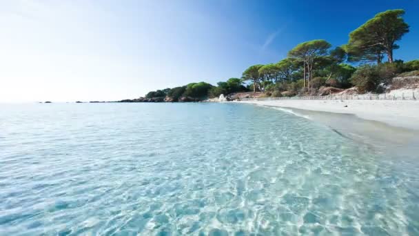 Playa de Palombaggia y agua azul — Vídeos de Stock