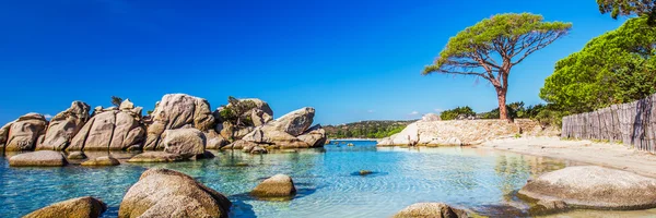 Playa de Palombaggia y agua azul — Foto de Stock