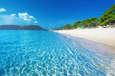 Sandy Palombaggia beach