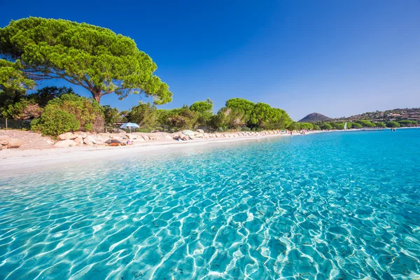 Spiaggia di Palombaggia e acqua azzurra — Foto Stock