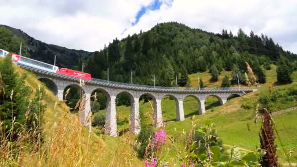 Όμορφη γέφυρα με τρένο — Αρχείο Βίντεο