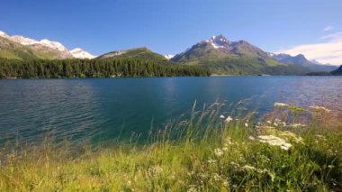 İsviçre Alpleri ile net Silvaplanersee