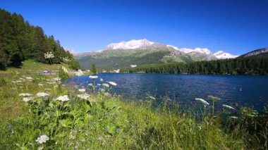 İsviçre Alpleri ile net Silvaplanersee