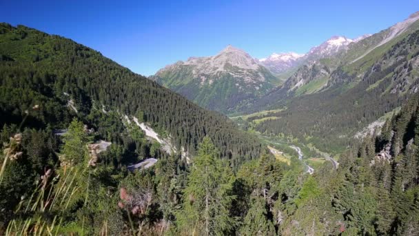Estrada da montanha que conduz através de Malojapass — Vídeo de Stock