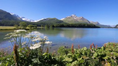 İsviçre Alpleri ile net Silvaplanersee