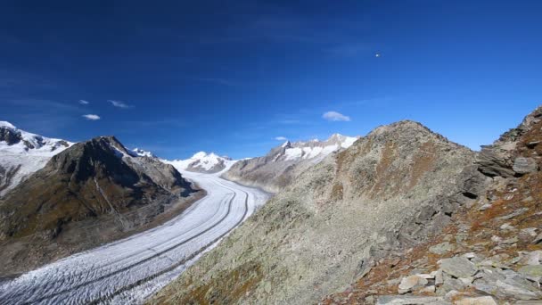 Majestuosa vista al glaciar Aletsch — Vídeo de stock