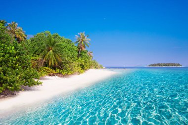 Kumlu plaj ve ağaçları ile tropik ada 
