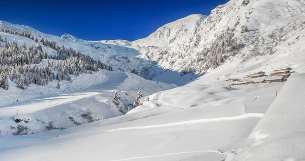 Bomen, vallende verse sneeuw in de Alpen — Stockfoto